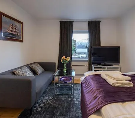 Apartment Aurora Dream House With Free Parking Tromsø