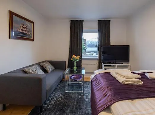 公寓 Aurora Dream House With Free Parking 特罗姆瑟